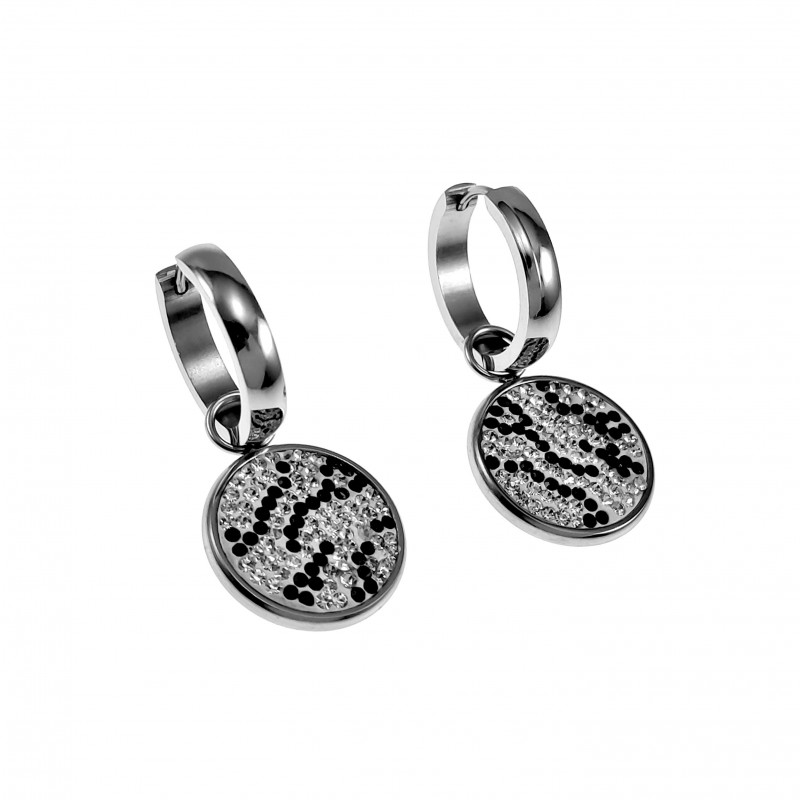 ∅20mm x 4mm Oorbellen Dames - Gepolijst RVS - Oorringen met Ronde Hanger