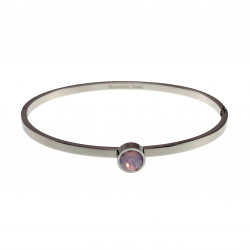 Bangle Dames - RVS - Stijve...